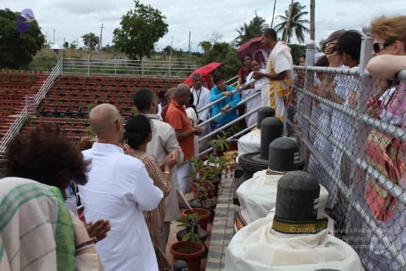 20110717_Photo_1027_IMG_4809_CMP_WM