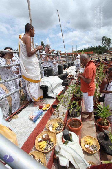 20110717_Photo_1032_IMG_4818_CMP_WM