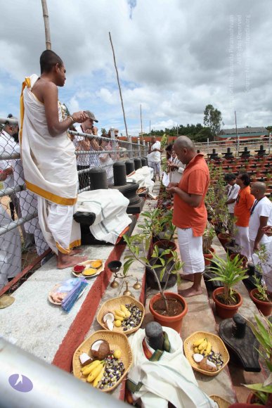 20110717_Photo_1033_IMG_4819_CMP_WM