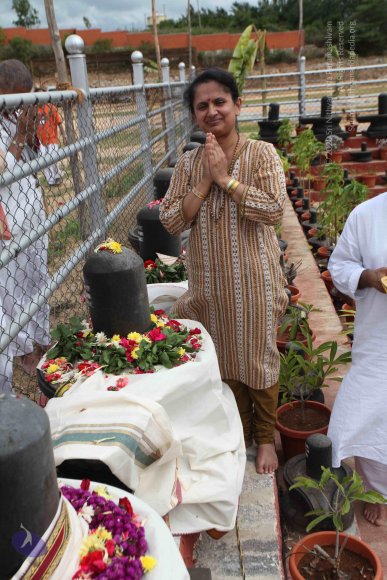 20110717_Photo_1046_IMG_4834_CMP_WM