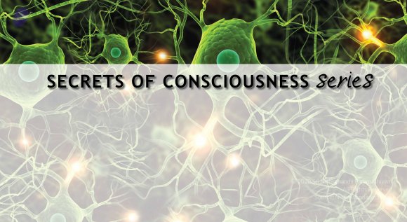 20110719_Photo_1001_Consciousnessseries33_CMP_WM