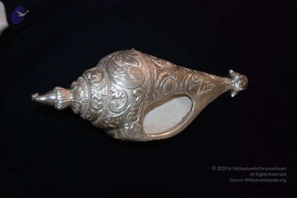 20110125_Photo_1022_DSC_5333_CMP_WM