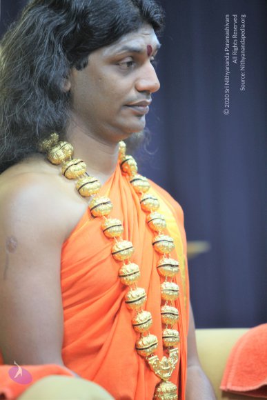 20110129_Photo_1050_IMG_8621_CMP_WM