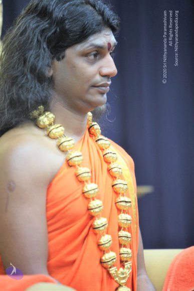 20110129_Photo_1052_IMG_8623_CMP_WM