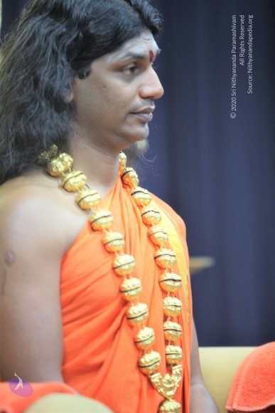 20110129_Photo_1054_IMG_8626_CMP_WM