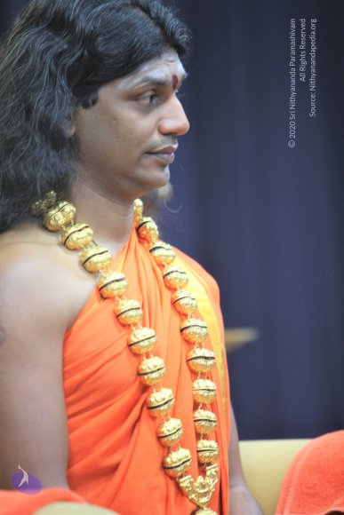 20110129_Photo_1055_IMG_8627_CMP_WM