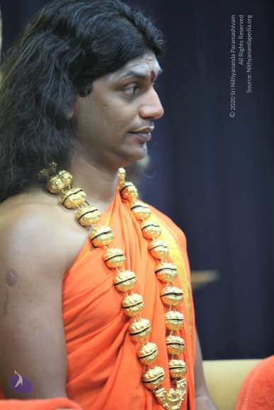 20110129_Photo_1057_IMG_8629_CMP_WM