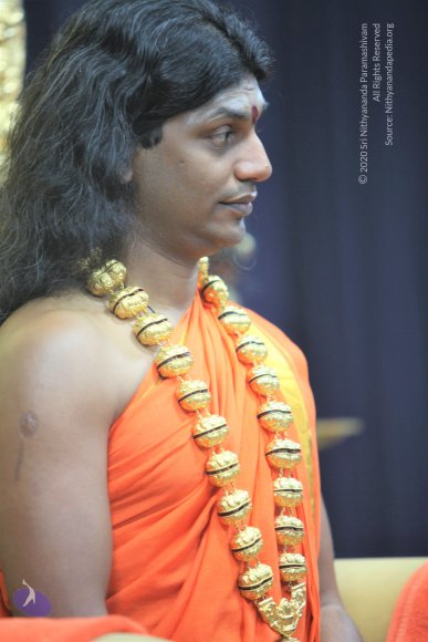 20110129_Photo_1060_IMG_8633_CMP_WM