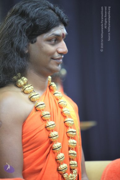 20110129_Photo_1064_IMG_8638_CMP_WM