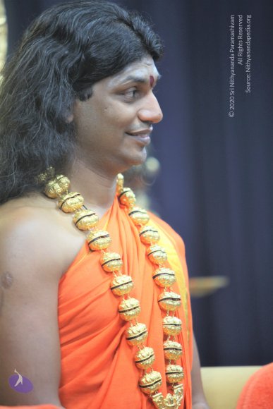 20110129_Photo_1069_IMG_8643_CMP_WM