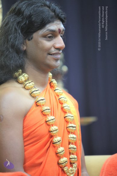 20110129_Photo_1075_IMG_8650_CMP_WM