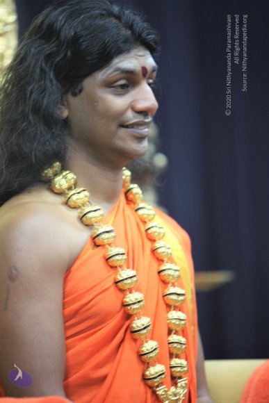 20110129_Photo_1077_IMG_8654_CMP_WM