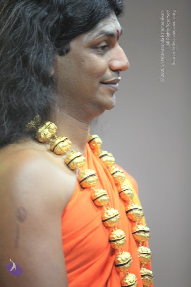 20110129_Photo_1105_IMG_8693_CMP_WM