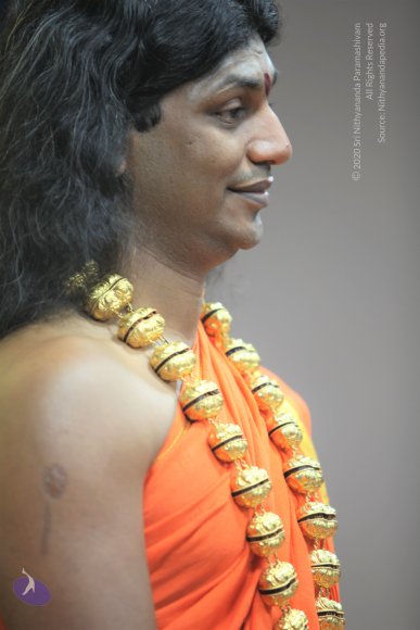 20110129_Photo_1106_IMG_8694_CMP_WM