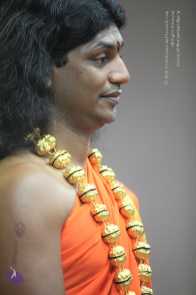 20110129_Photo_1108_IMG_8696_CMP_WM