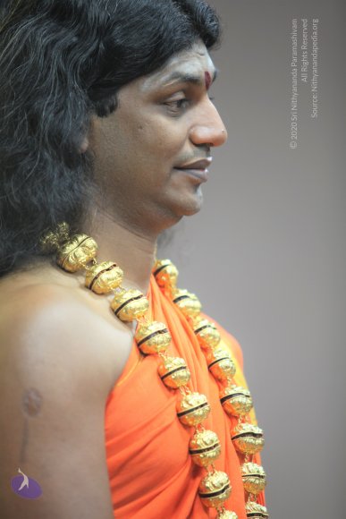 20110129_Photo_1109_IMG_8697_CMP_WM