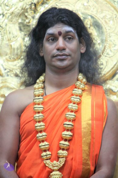 20110129_Photo_1165_IMG_8787_CMP_WM