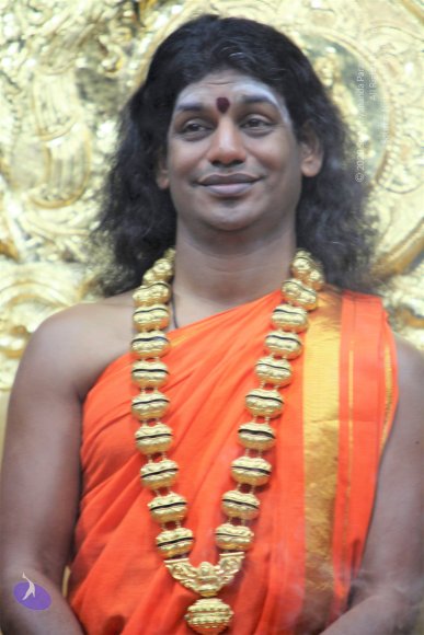 20110129_Photo_1176_IMG_8800_CMP_WM