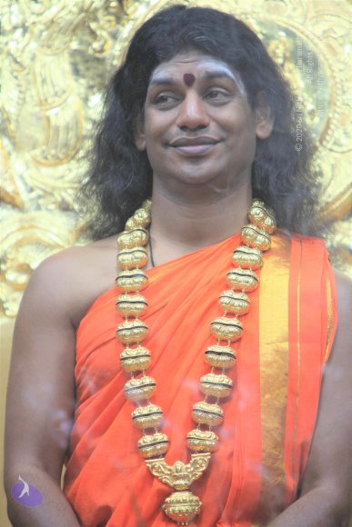 20110129_Photo_1179_IMG_8803_CMP_WM