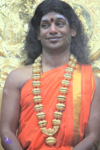 20110129_Photo_1181_IMG_8805_CMP_WM