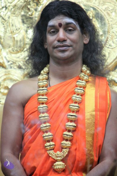 20110129_Photo_1202_IMG_8838_CMP_WM