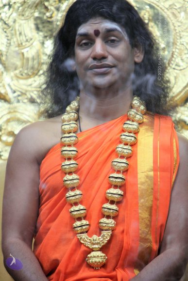 20110129_Photo_1205_IMG_8841_CMP_WM