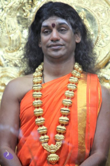 20110129_Photo_1206_IMG_8847_CMP_WM