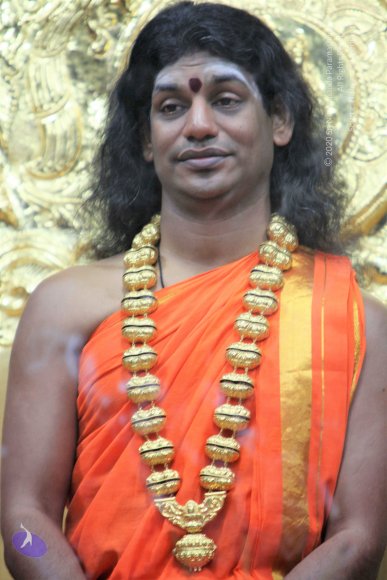 20110129_Photo_1207_IMG_8848_CMP_WM