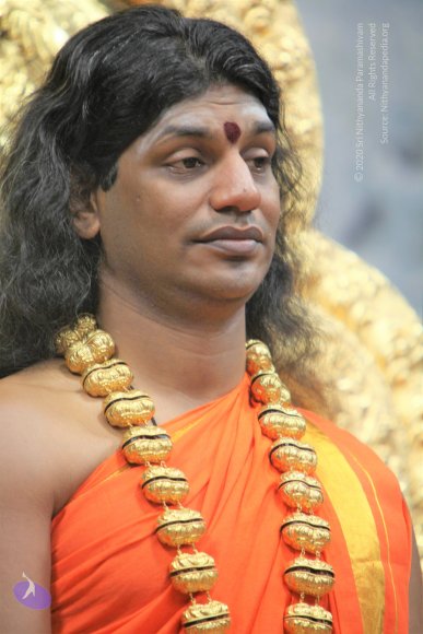 20110129_Photo_1215_IMG_8881_CMP_WM