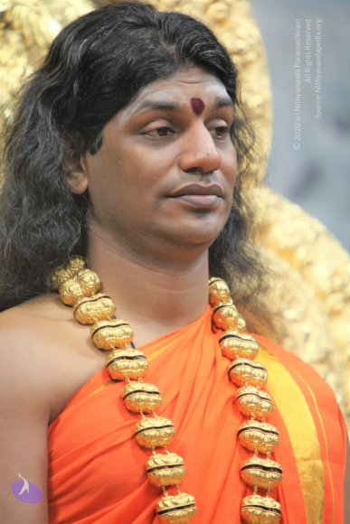 20110129_Photo_1216_IMG_8882_CMP_WM