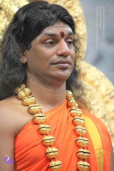 20110129_Photo_1217_IMG_8883_CMP_WM