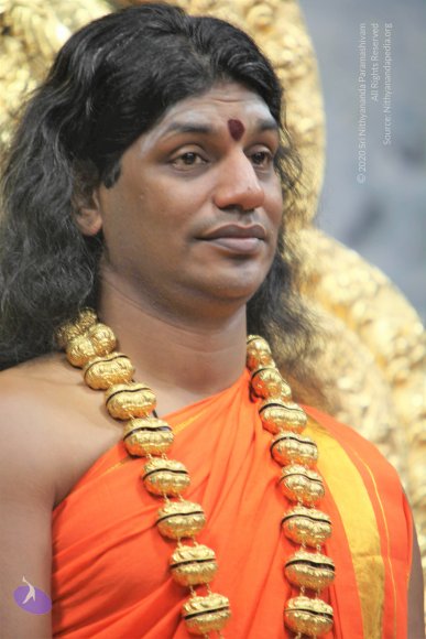 20110129_Photo_1219_IMG_8886_CMP_WM