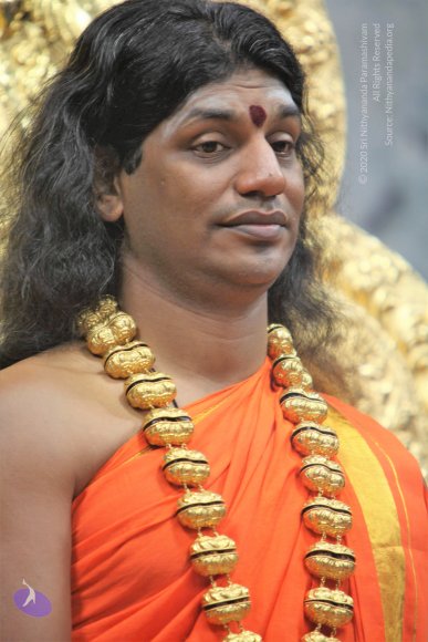 20110129_Photo_1223_IMG_8890_CMP_WM