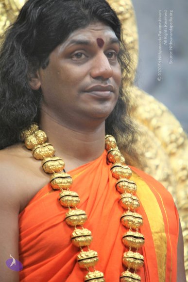 20110129_Photo_1224_IMG_8895_CMP_WM