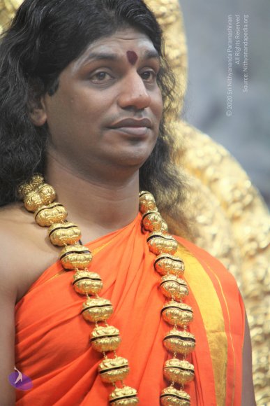 20110129_Photo_1225_IMG_8896_CMP_WM