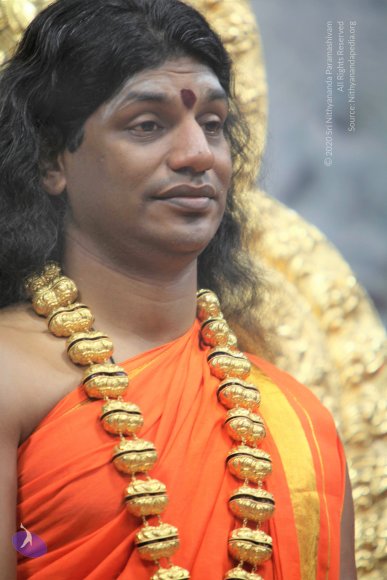 20110129_Photo_1234_IMG_8911_CMP_WM