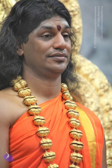 20110129_Photo_1237_IMG_8914_CMP_WM