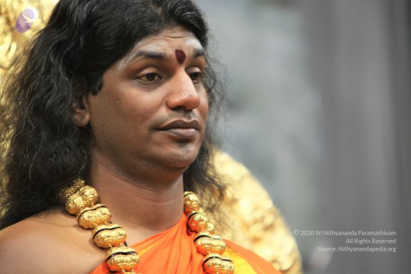 20110129_Photo_1240_IMG_8918_CMP_WM