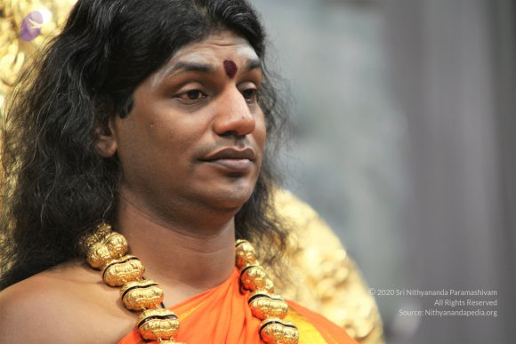 20110129_Photo_1241_IMG_8919_CMP_WM