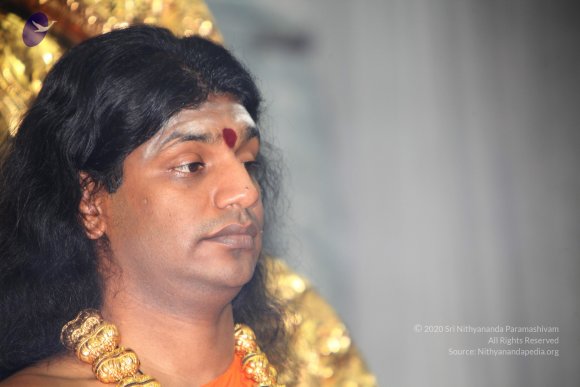 20110129_Photo_1246_IMG_8931_CMP_WM