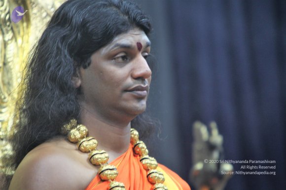 20110129_Photo_1271_IMG_8963_CMP_WM