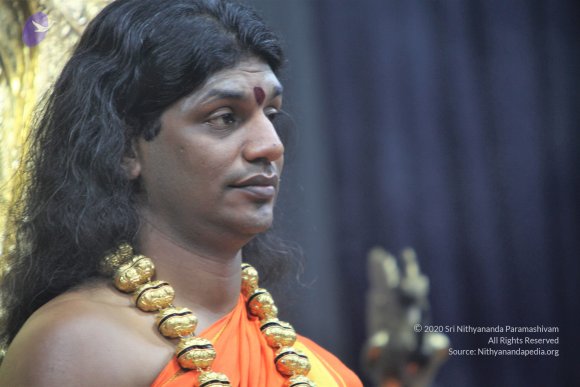 20110129_Photo_1272_IMG_8964_CMP_WM