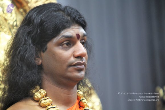 20110129_Photo_1275_IMG_8975_CMP_WM