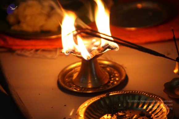 20110129_Photo_1300_IMG_9019_CMP_WM