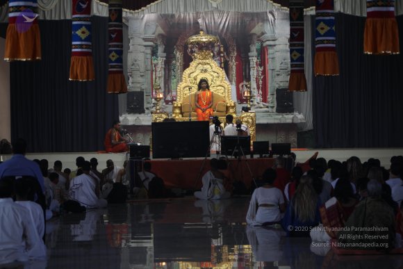 20110129_Photo_1312_IMG_9035_CMP_WM