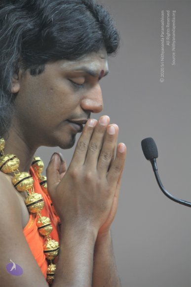 20110129_Photo_1059_IMG_9189_CMP_WM