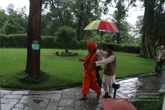 20110715_Photo_1003_IMG_5502_CMP_WM