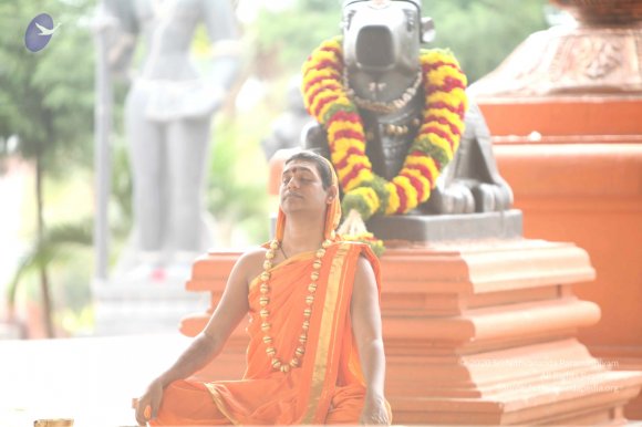 2-Pancha-Tapas_Photo_1000_IMG_2977_CMP_WM