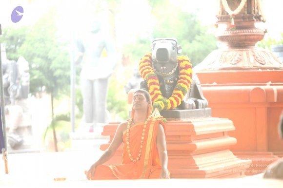 2-Pancha-Tapas_Photo_1001_IMG_2978_CMP_WM