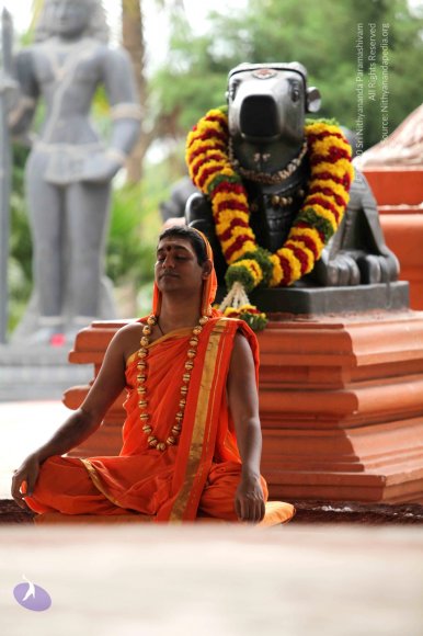 2-Pancha-Tapas_Photo_1002_IMG_2981_CMP_WM